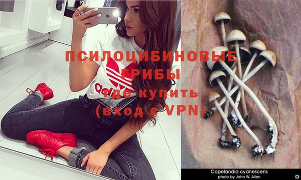 мдма Горнозаводск