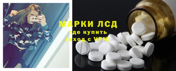PSILOCYBIN Горняк