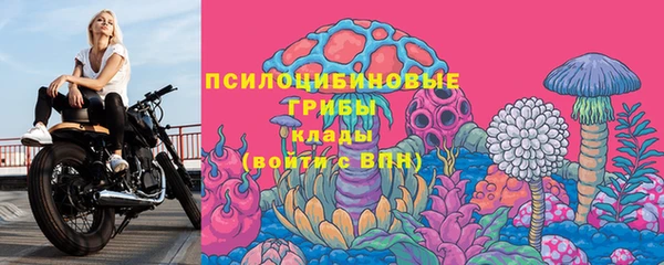 не бодяженный Вяземский