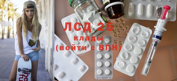 PSILOCYBIN Горняк