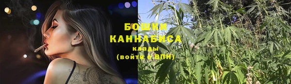 PSILOCYBIN Горняк