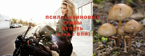 PSILOCYBIN Горняк