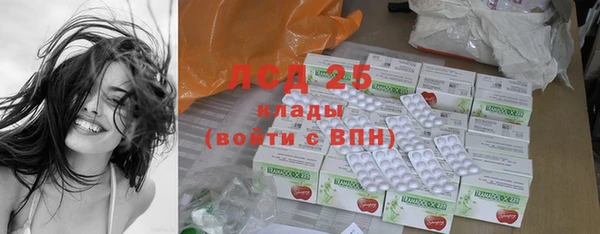 PSILOCYBIN Горняк