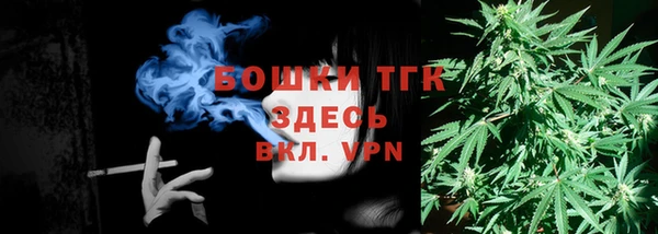 PSILOCYBIN Горняк